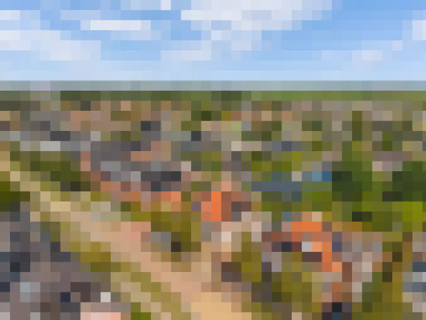 Dopheide 6 Limmen thumbnail 46