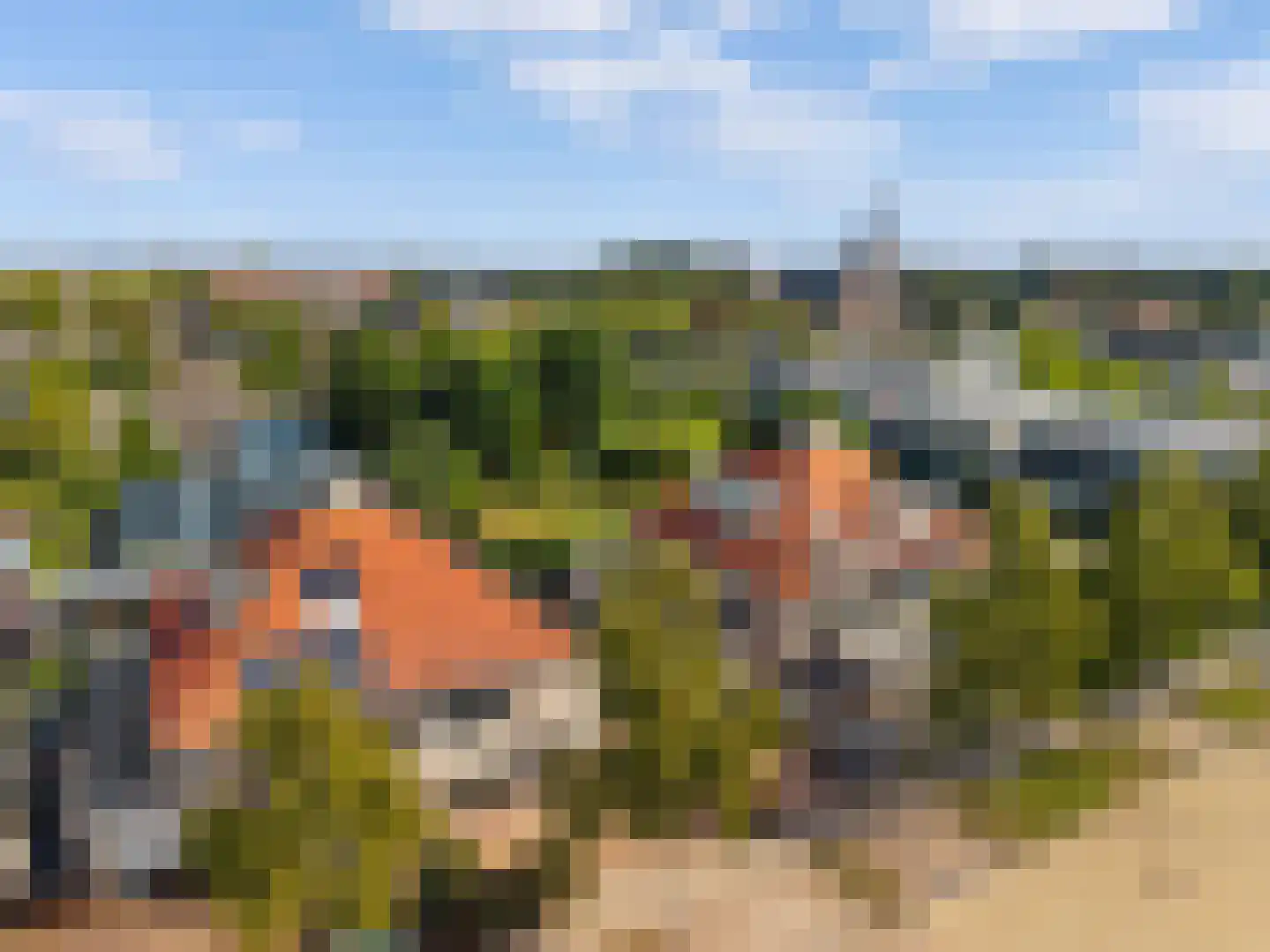Dopheide 6 Limmen thumbnail 47
