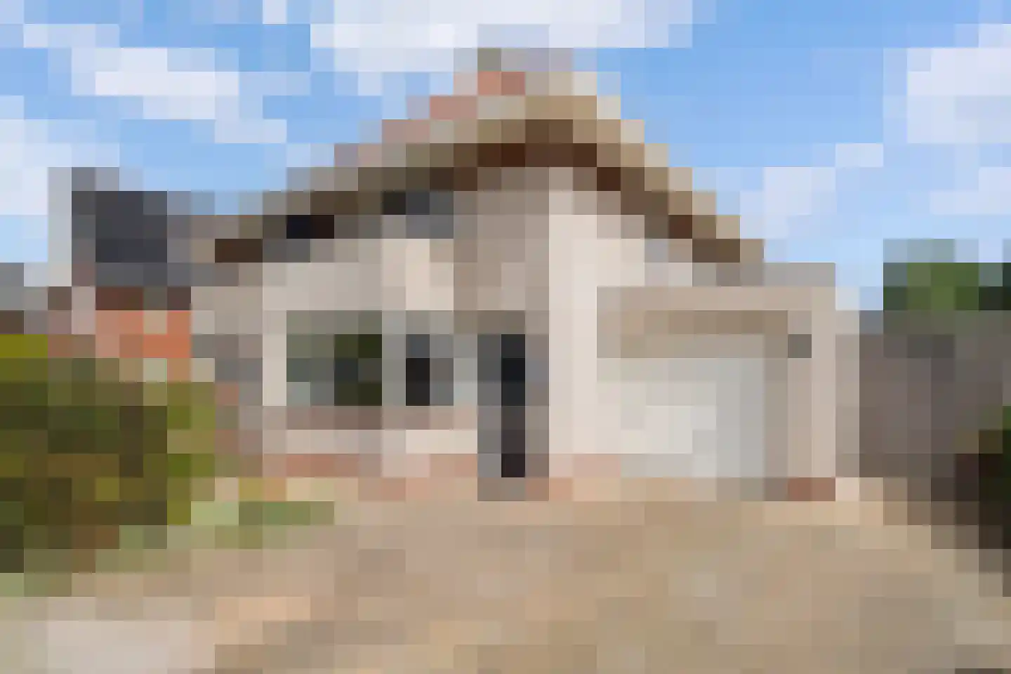 Dopheide 6 Limmen thumbnail 7