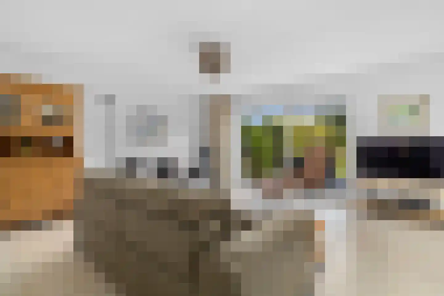 Dopheide 6 Limmen thumbnail 9