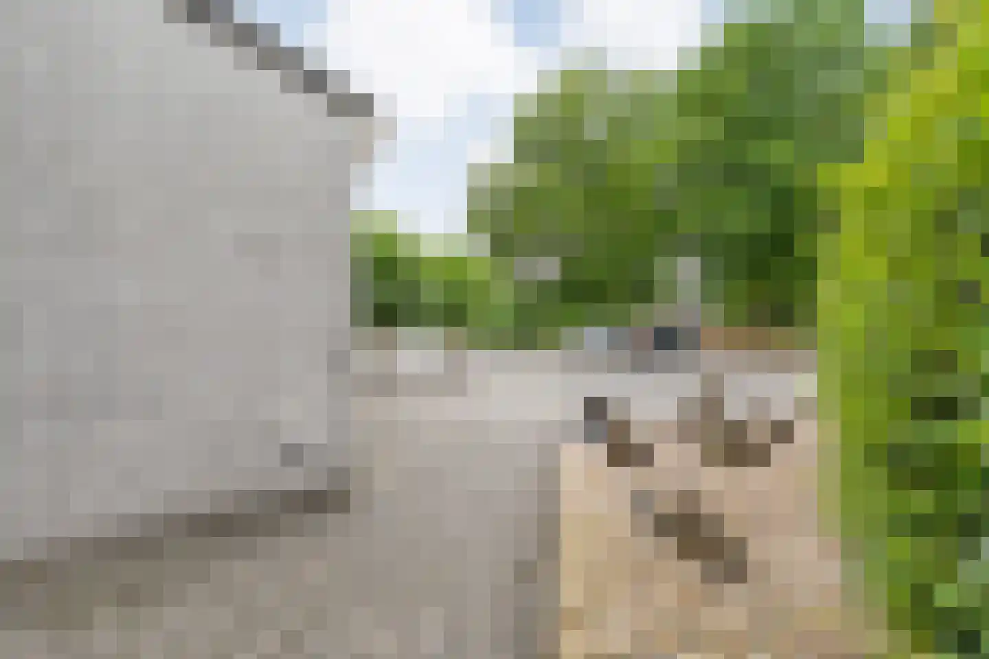 Dopheide 63 Steenwijk thumbnail 12