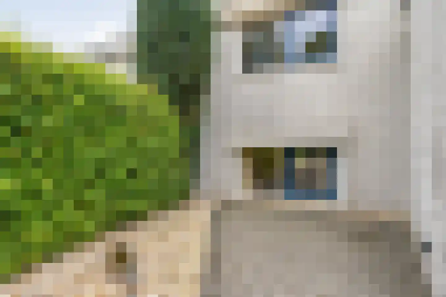 Dopheide 63 Steenwijk thumbnail 14