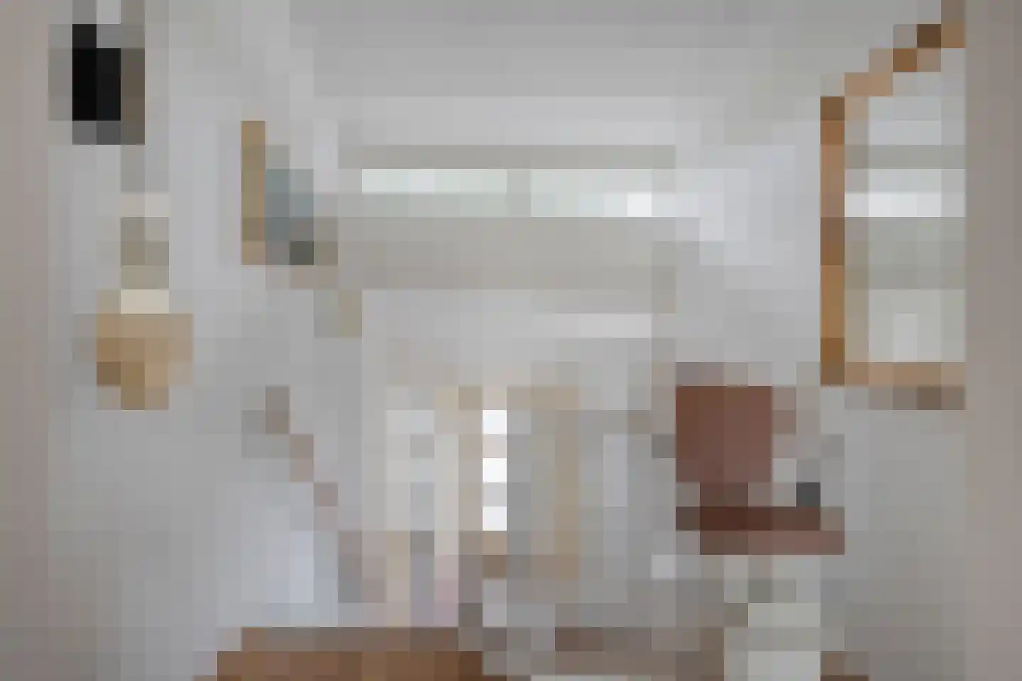 Dopheide 63 Steenwijk thumbnail 18