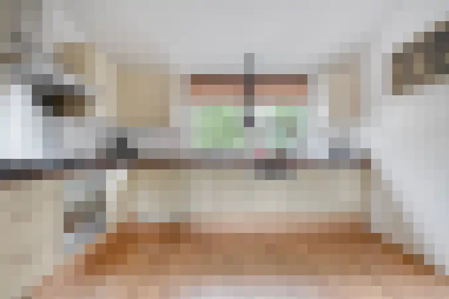 Dopheide 63 Steenwijk thumbnail 25