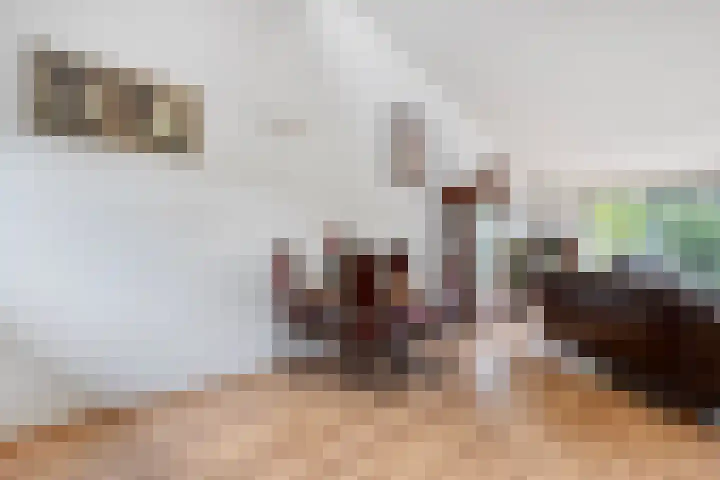 Dopheide 63 Steenwijk thumbnail 28
