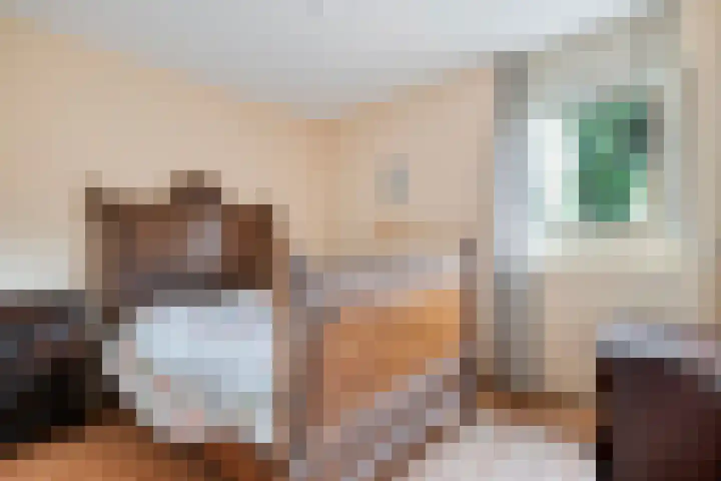 Dopheide 63 Steenwijk thumbnail 37