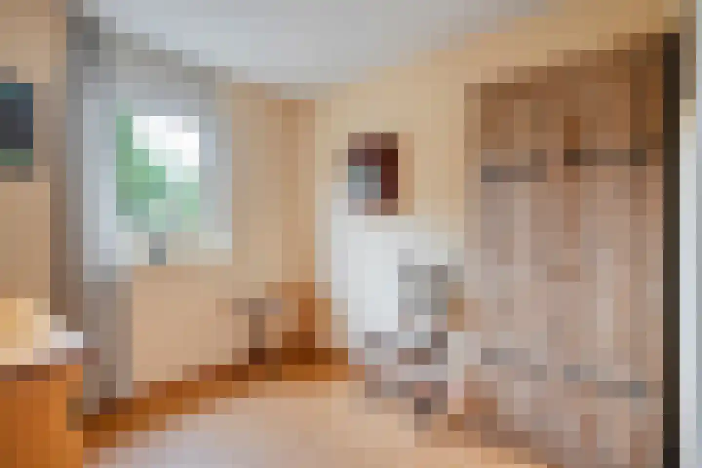 Dopheide 63 Steenwijk thumbnail 39
