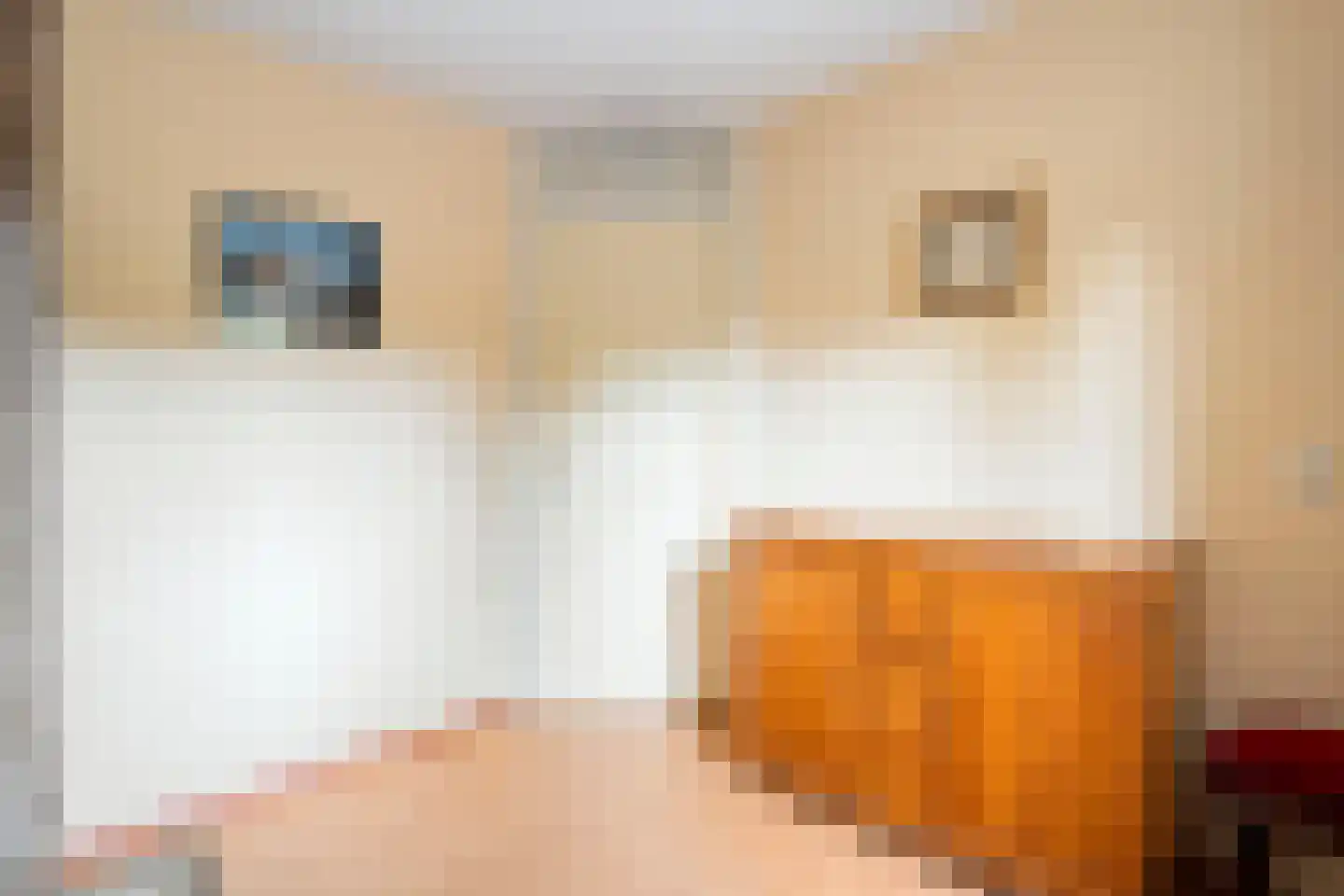 Dopheide 63 Steenwijk thumbnail 40