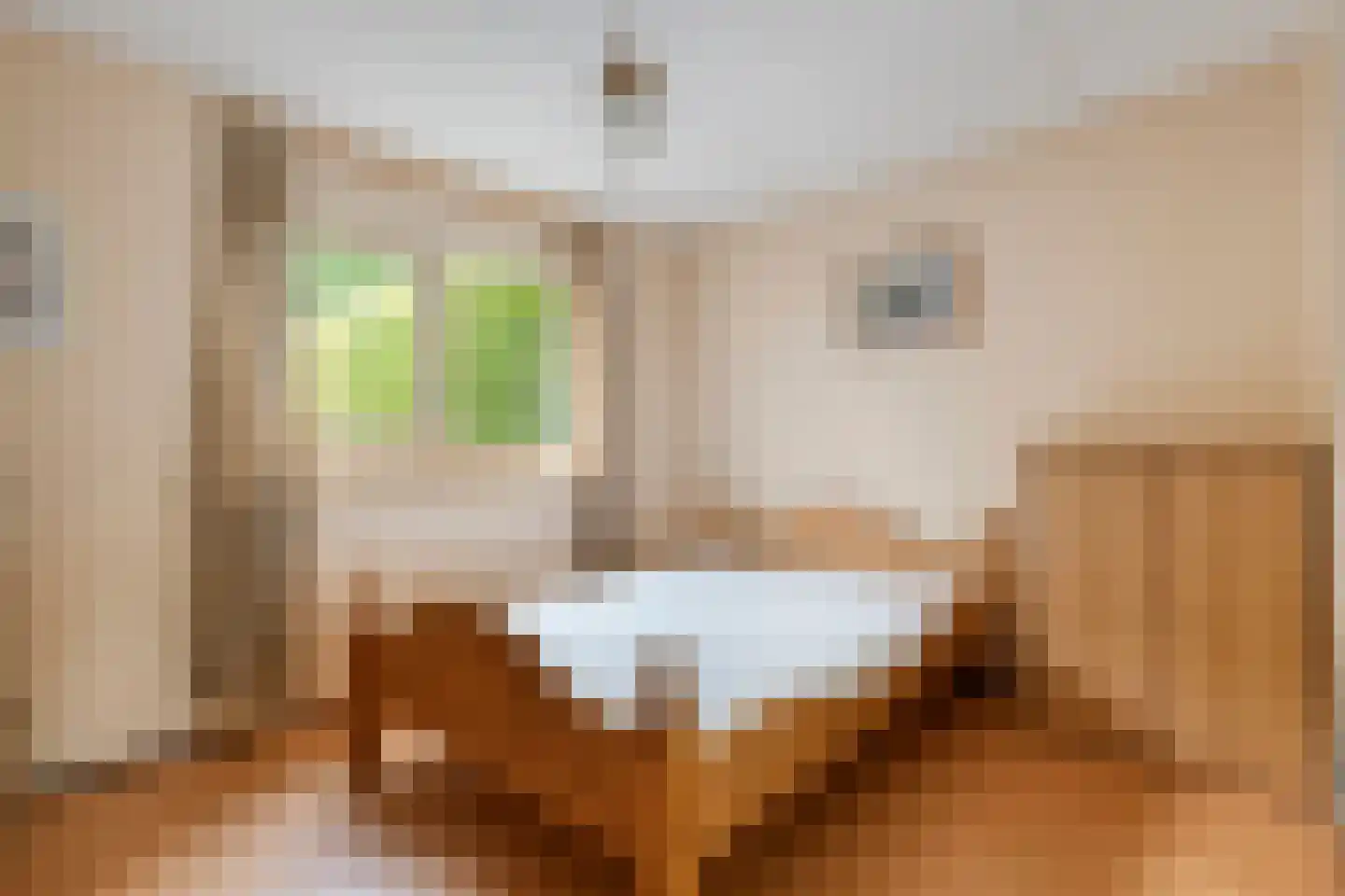 Dopheide 63 Steenwijk thumbnail 41