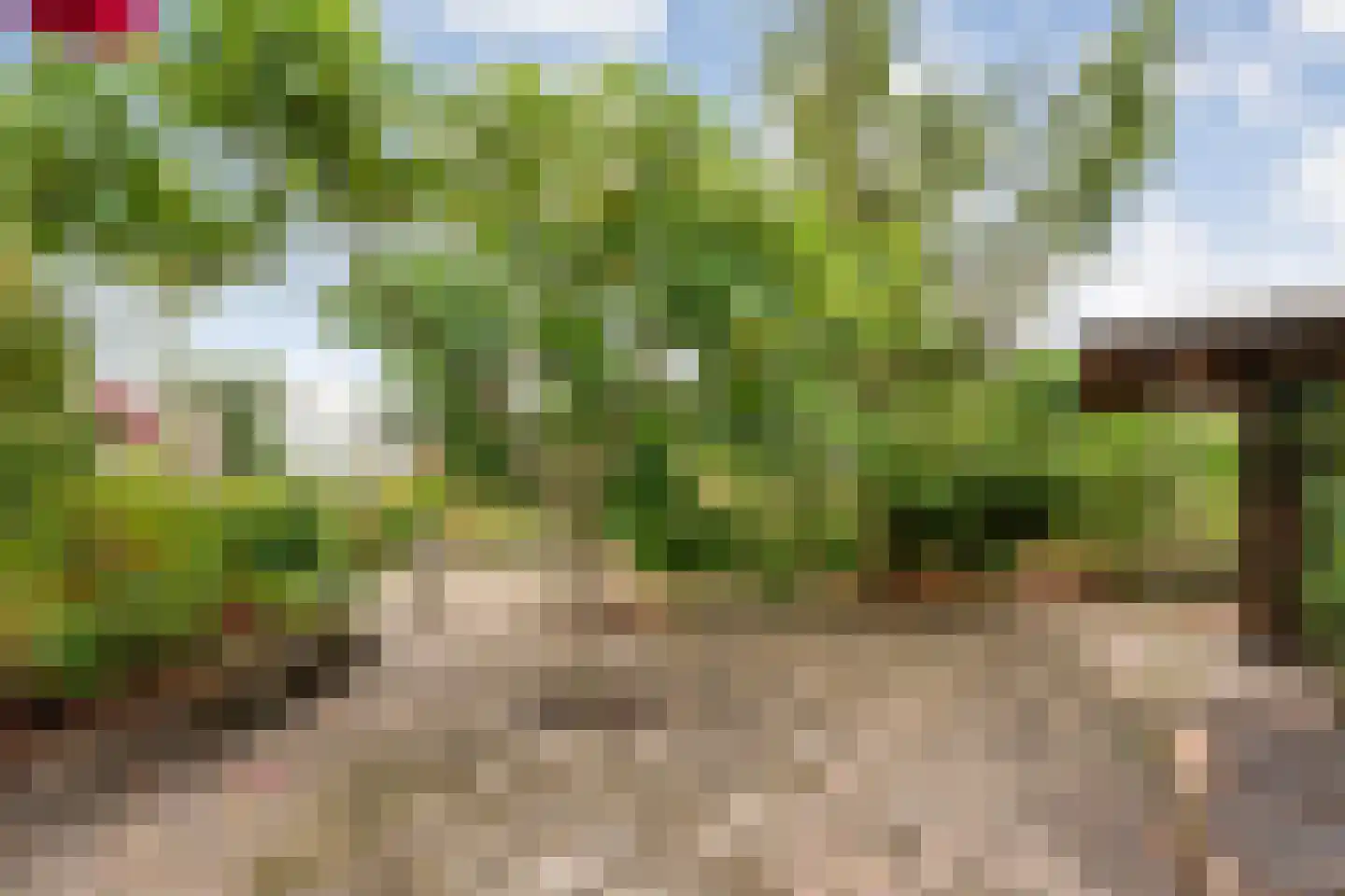 Dopheide 63 Steenwijk thumbnail 53