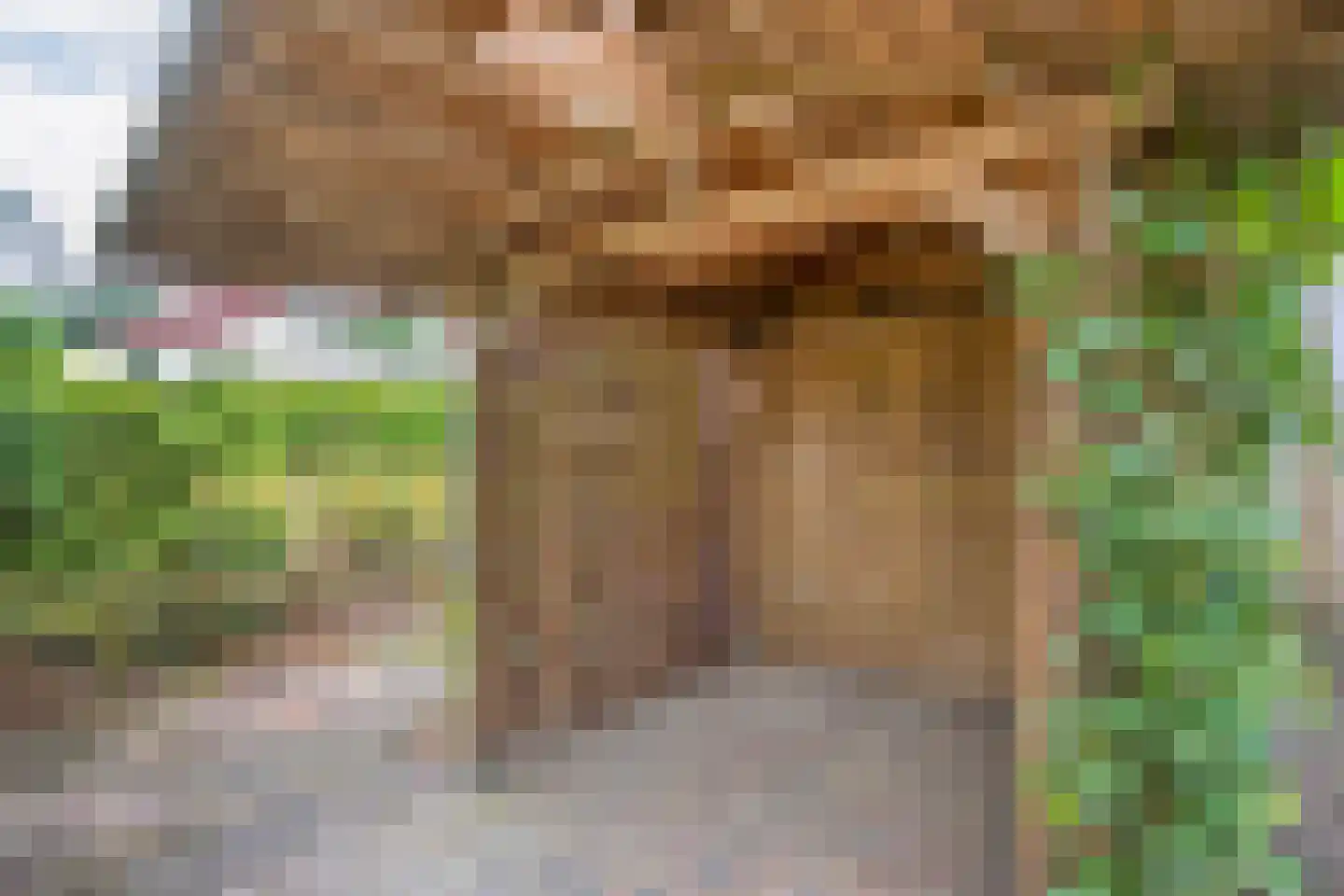 Dopheide 63 Steenwijk thumbnail 54