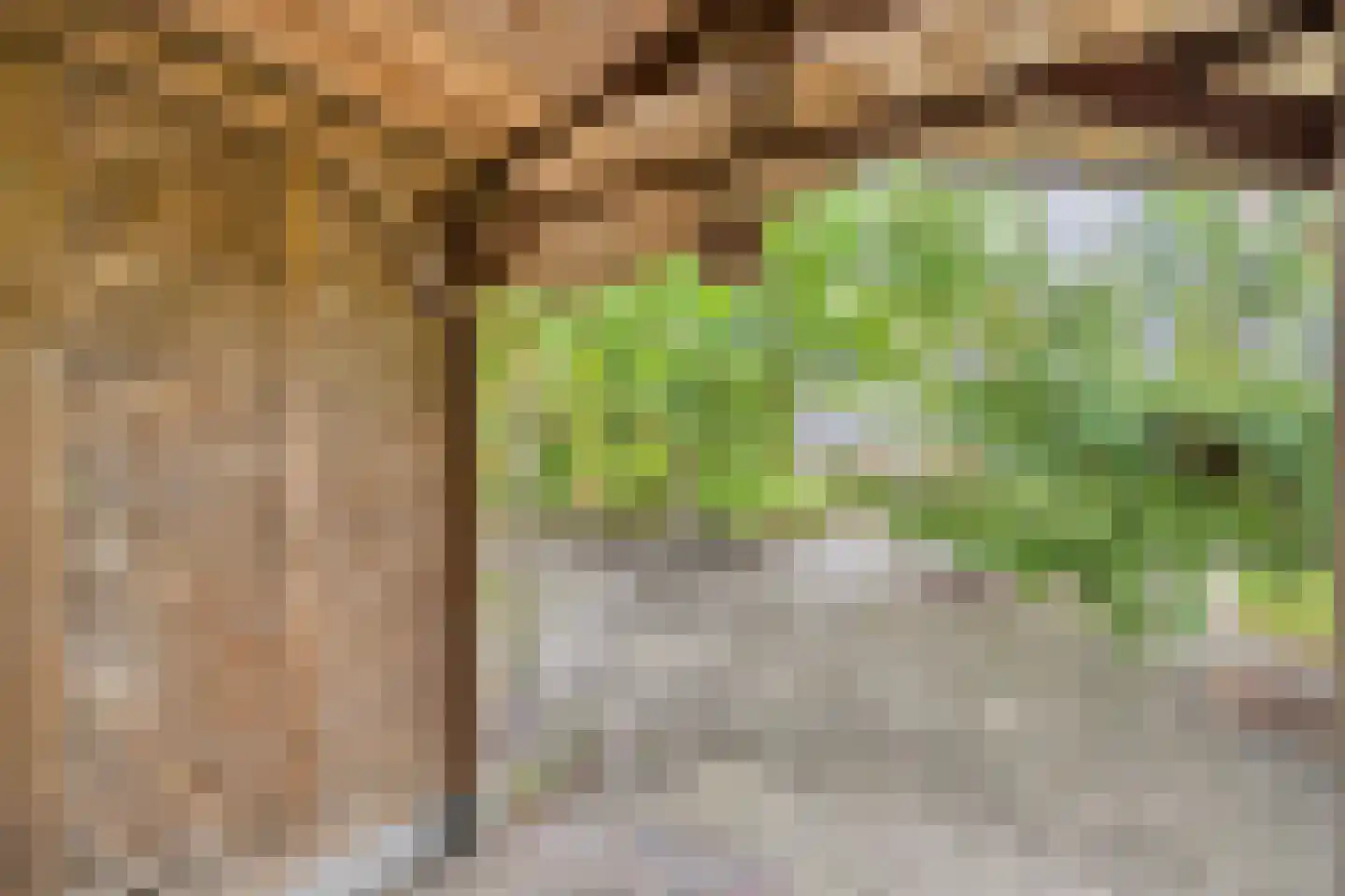 Dopheide 63 Steenwijk thumbnail 55