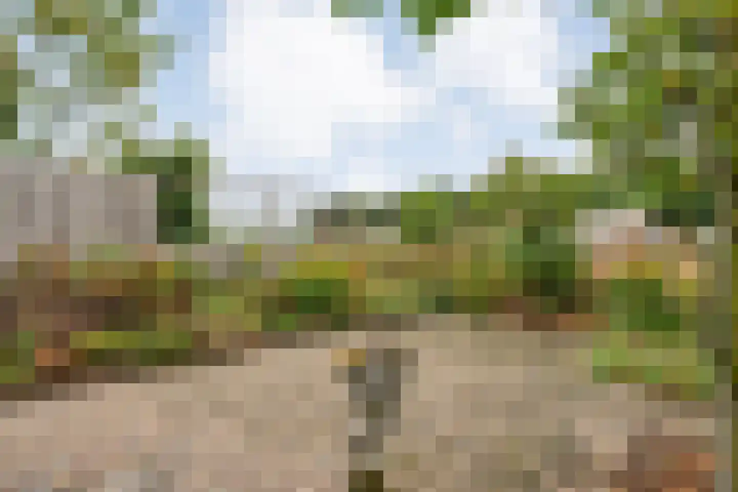 Dopheide 63 Steenwijk thumbnail 56