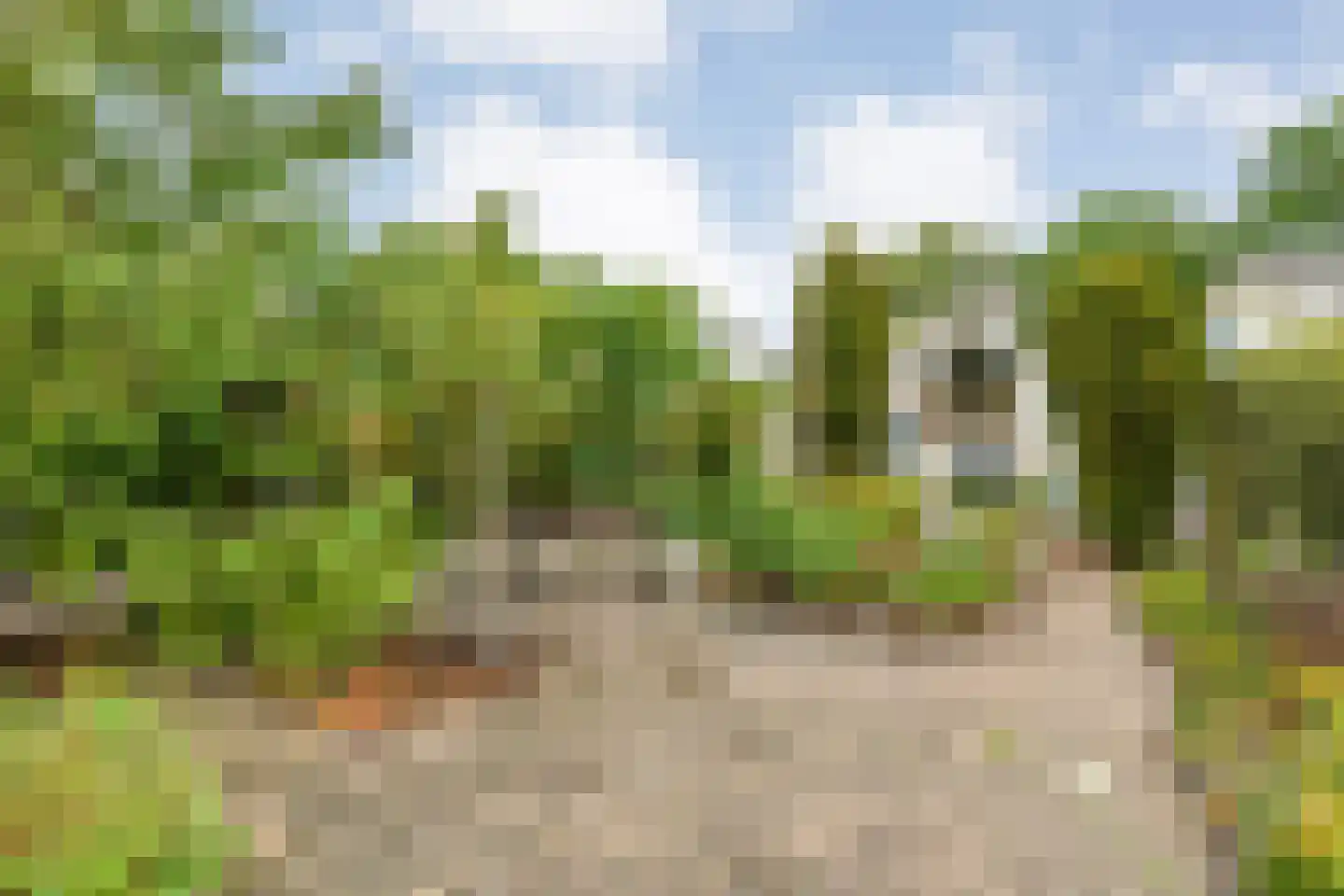 Dopheide 63 Steenwijk thumbnail 57