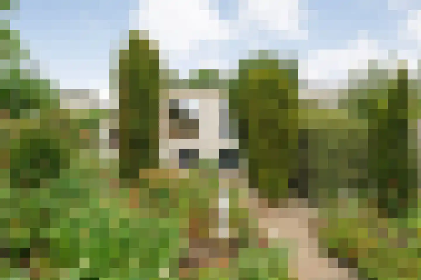Dopheide 63 Steenwijk thumbnail 58
