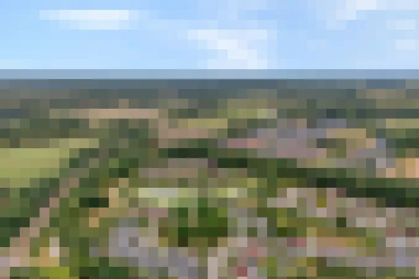 Dopheide 63 Steenwijk thumbnail 6