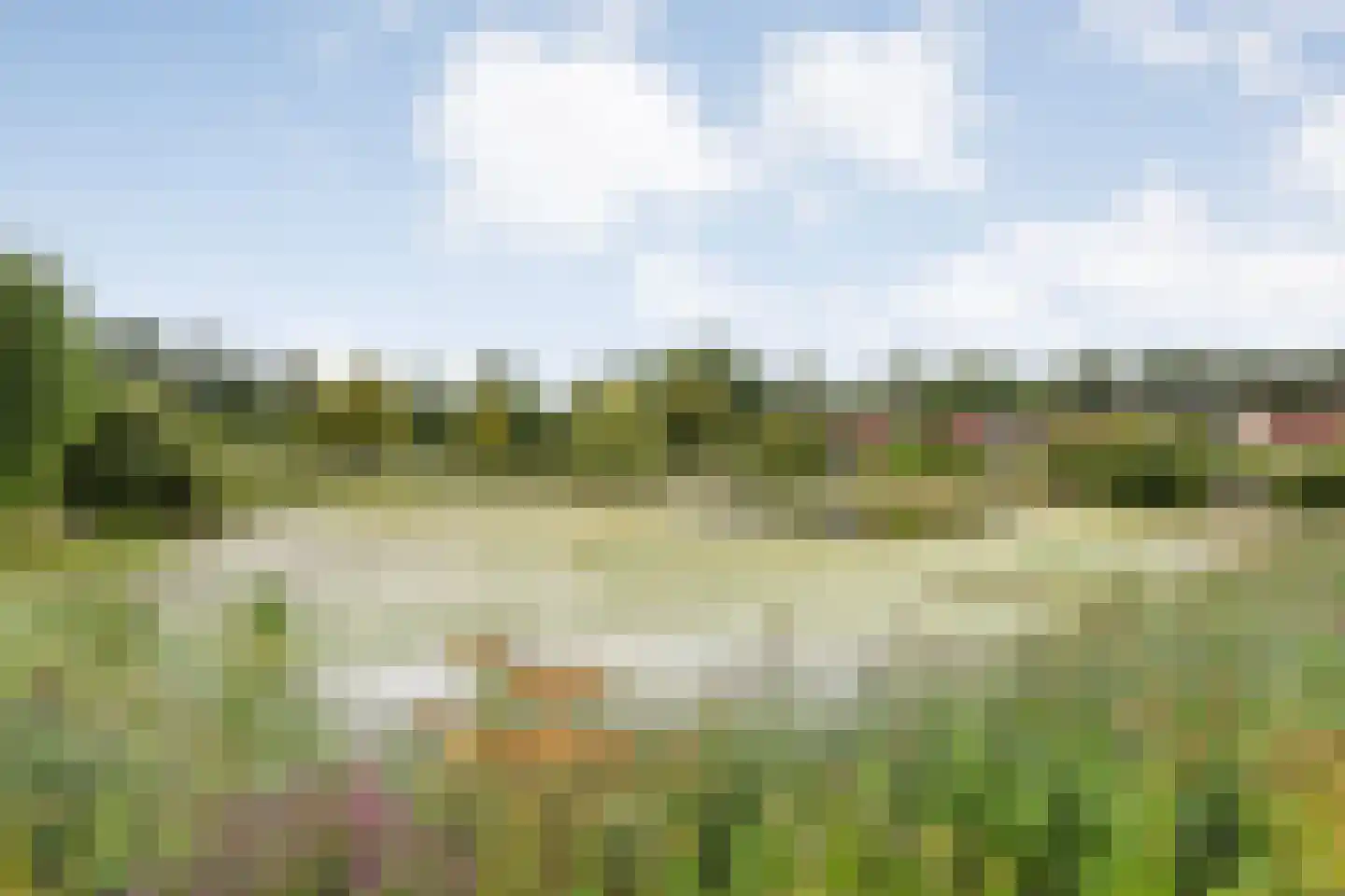 Dopheide 63 Steenwijk thumbnail 60