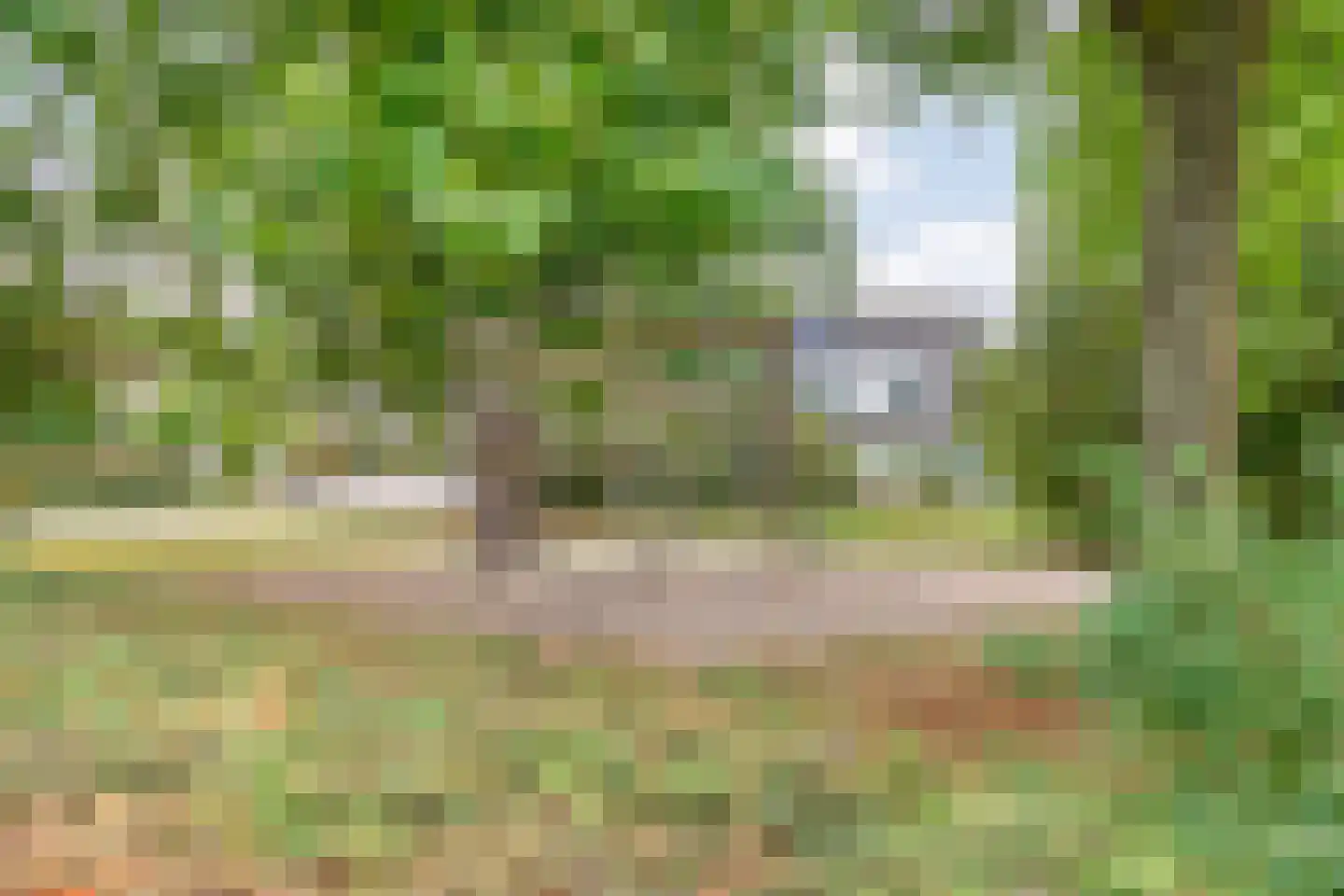 Dopheide 63 Steenwijk thumbnail 61