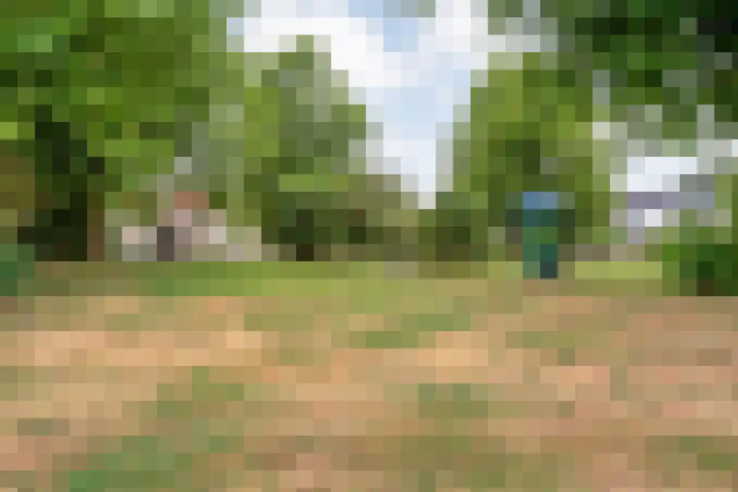 Dopheide 63 Steenwijk thumbnail 62
