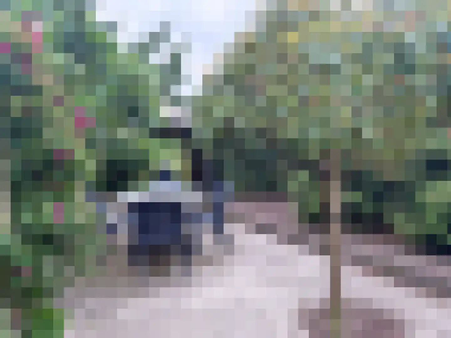 Dopheide 63 Steenwijk thumbnail 64