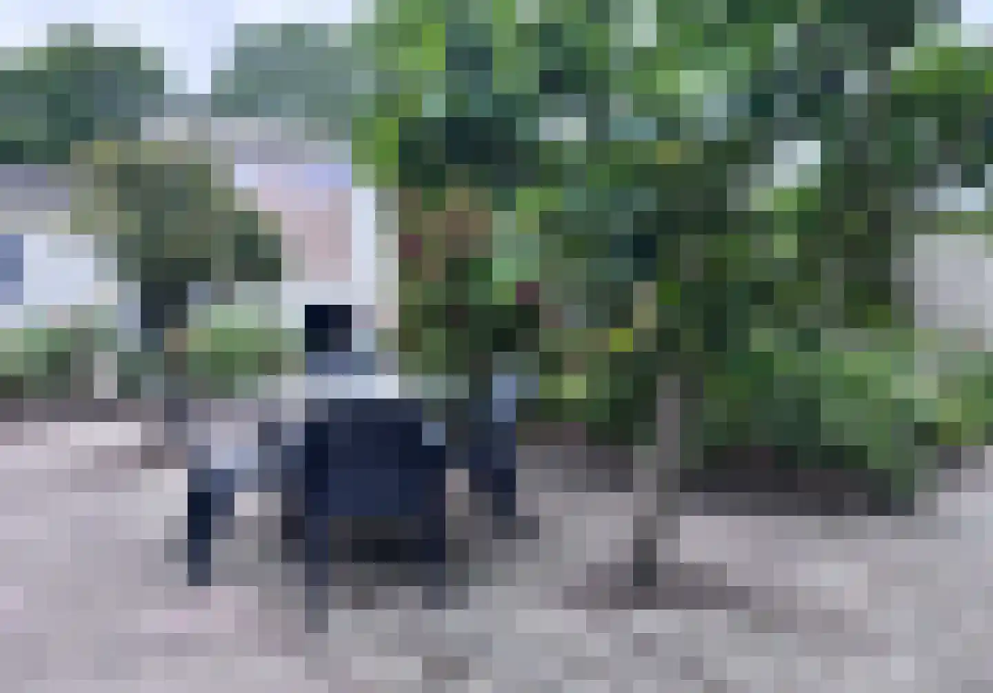 Dopheide 63 Steenwijk thumbnail 65