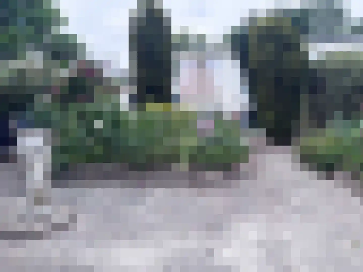 Dopheide 63 Steenwijk thumbnail 66