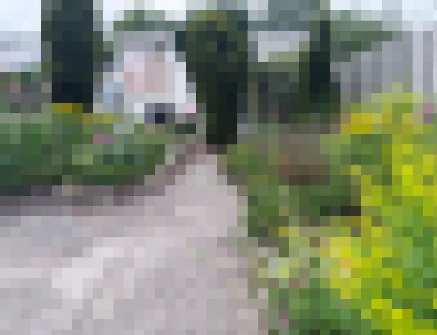 Dopheide 63 Steenwijk thumbnail 67