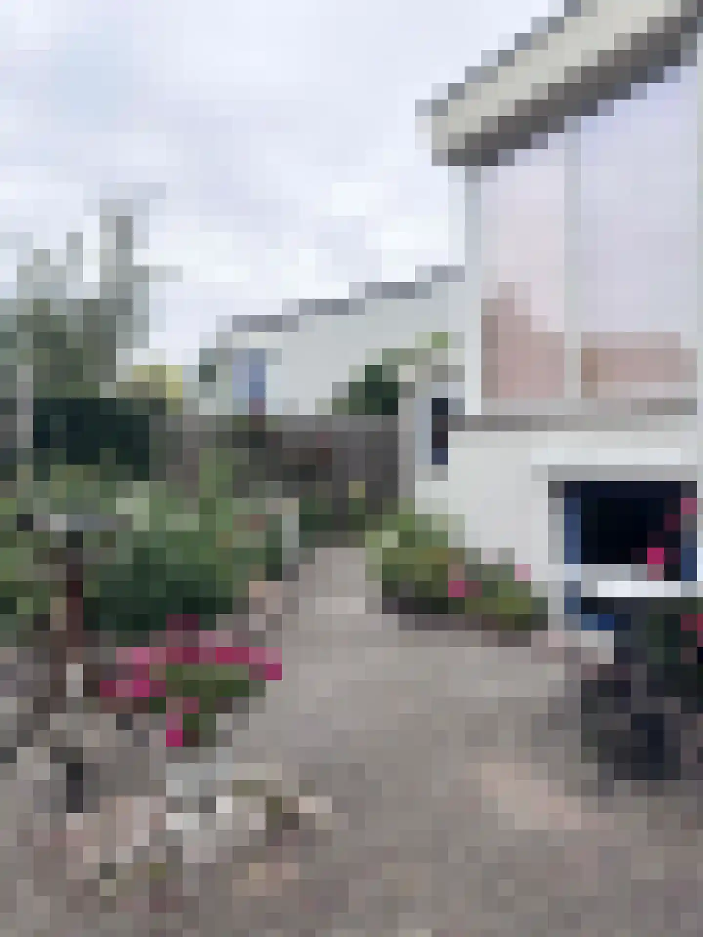 Dopheide 63 Steenwijk thumbnail 68