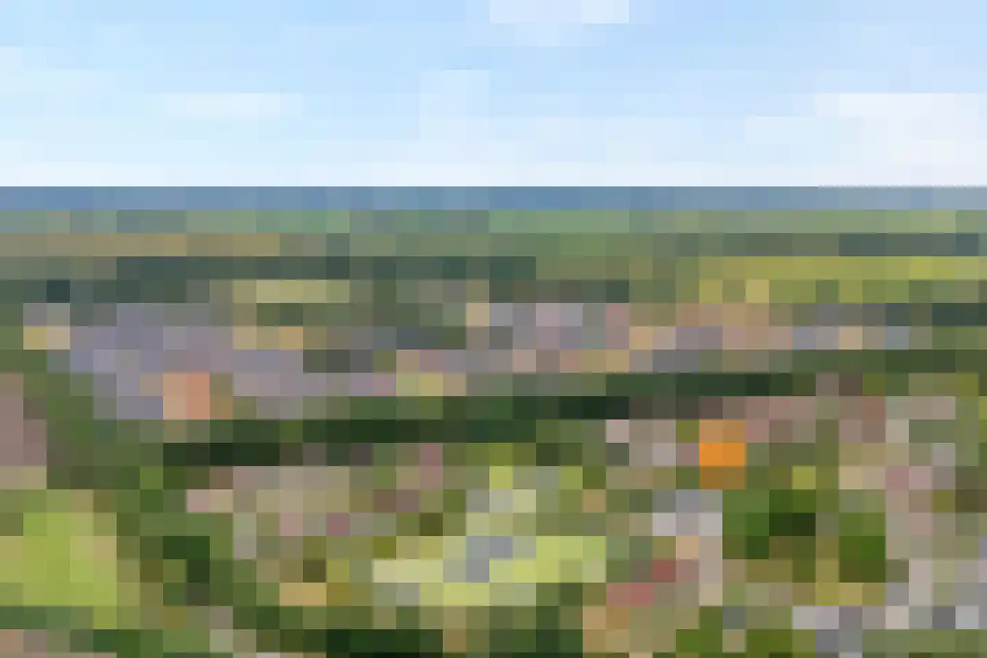 Dopheide 63 Steenwijk thumbnail 7