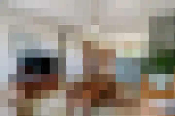 Dopheide 8 Nieuwegein thumbnail 13