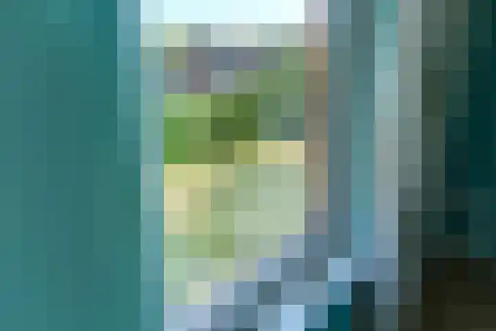 Dopheide 8 Nieuwegein thumbnail 26