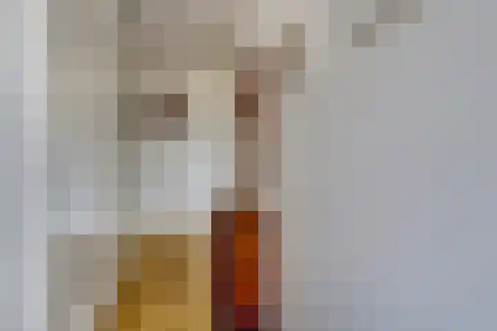 Dopheide 8 Nieuwegein thumbnail 29