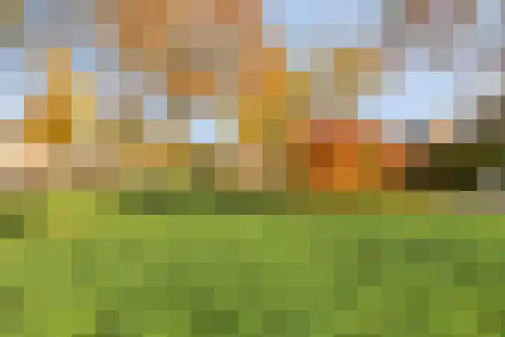 Dopheidebeemd 17 Valkenswaard thumbnail 30