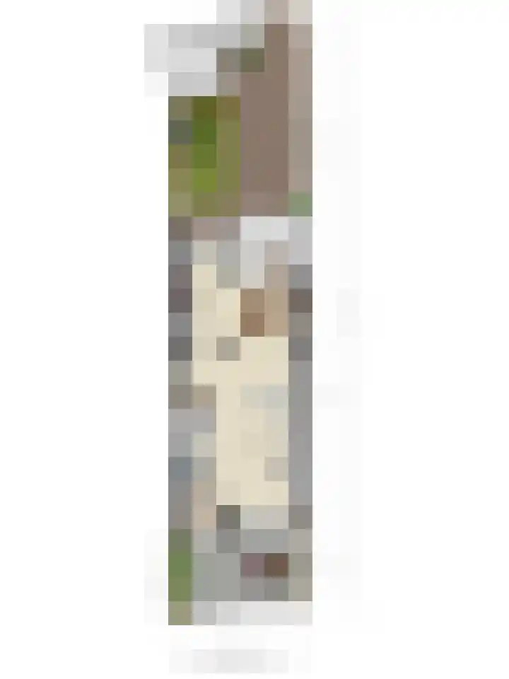 Dopheidebeemd 6 Valkenswaard thumbnail 32