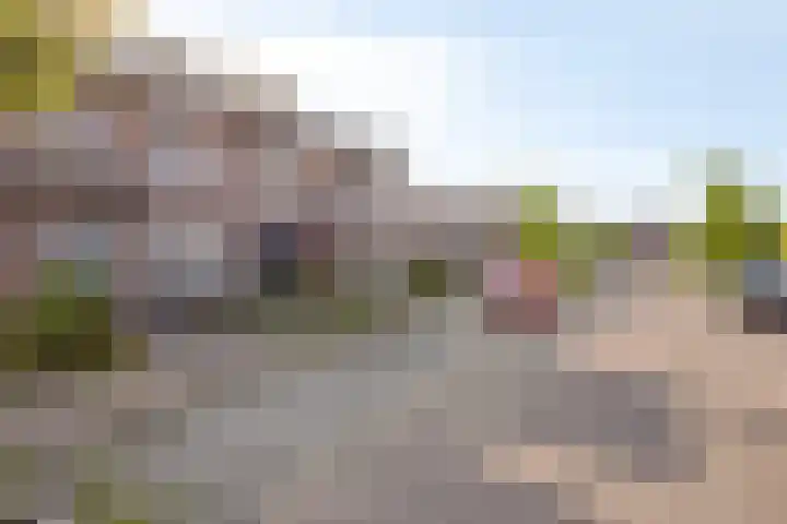 Dopheidebeemd 6 Valkenswaard thumbnail 6