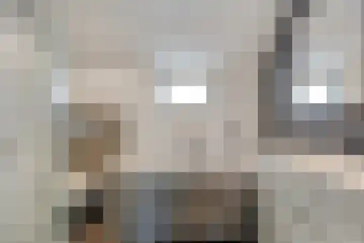 Dopheidebeemd 7 Valkenswaard thumbnail 17