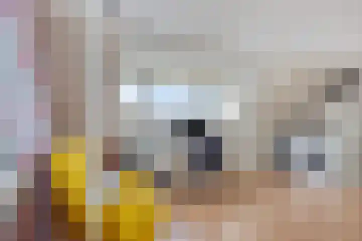 Dopheidebeemd 7 Valkenswaard thumbnail 23