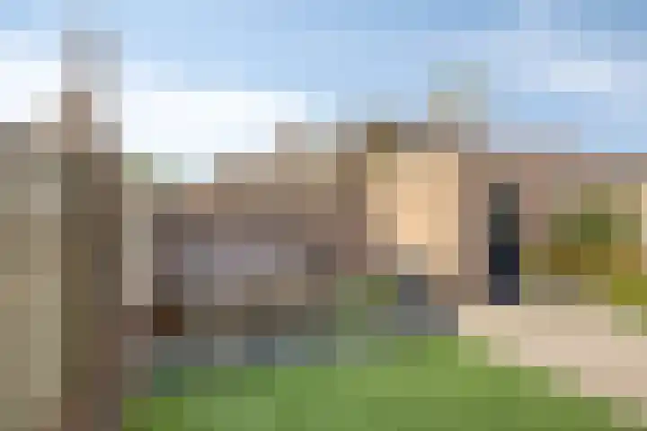 Dopheidebeemd 7 Valkenswaard thumbnail 25