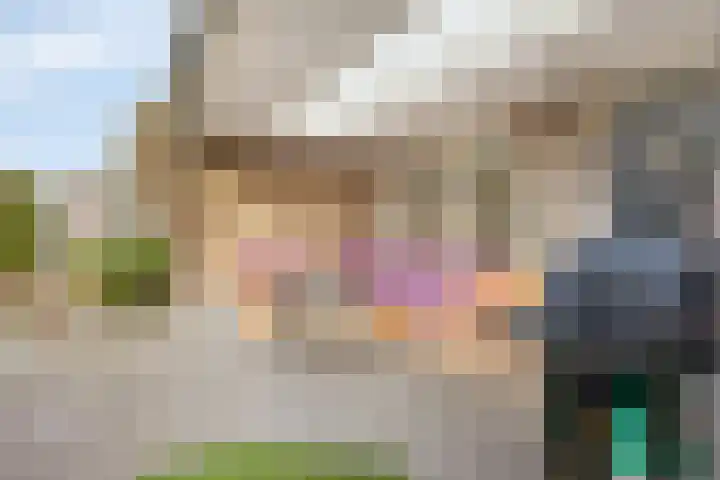 Dopheidebeemd 7 Valkenswaard thumbnail 28
