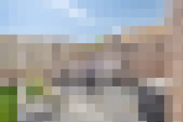 Dopheidebeemd 7 Valkenswaard thumbnail 29