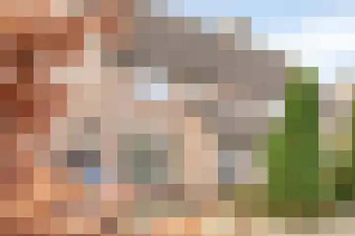 Dopheidebeemd 7 Valkenswaard thumbnail 33