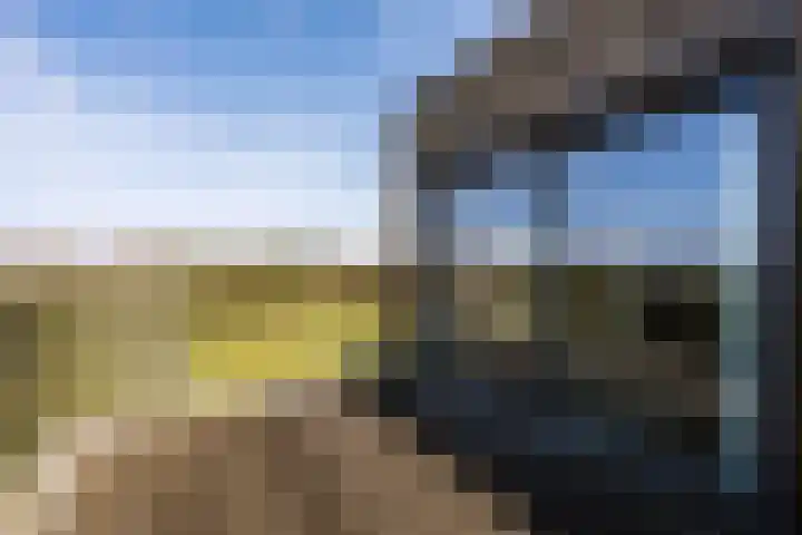 Dopheidelaan 102 Hilversum thumbnail 11