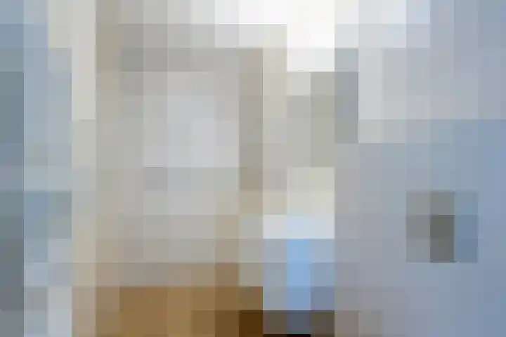 Dopheidelaan 102 Hilversum thumbnail 13