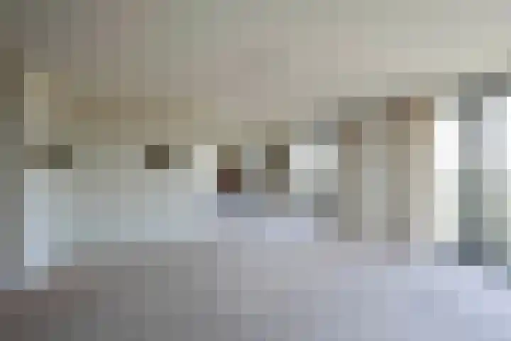 Dopheidelaan 102 Hilversum thumbnail 17