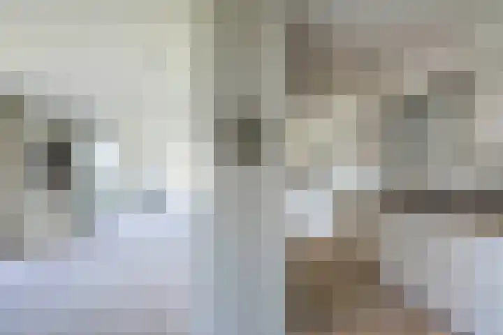 Dopheidelaan 102 Hilversum thumbnail 24