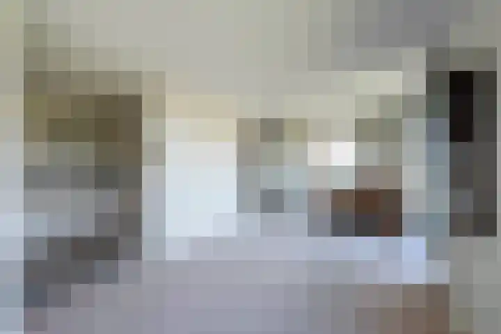 Dopheidelaan 102 Hilversum thumbnail 27