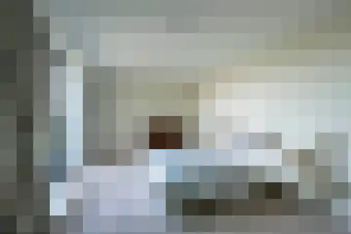 Dopheidelaan 102 Hilversum thumbnail 31