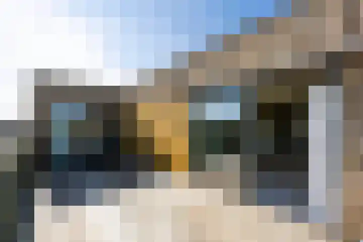 Dopheidelaan 102 Hilversum thumbnail 33