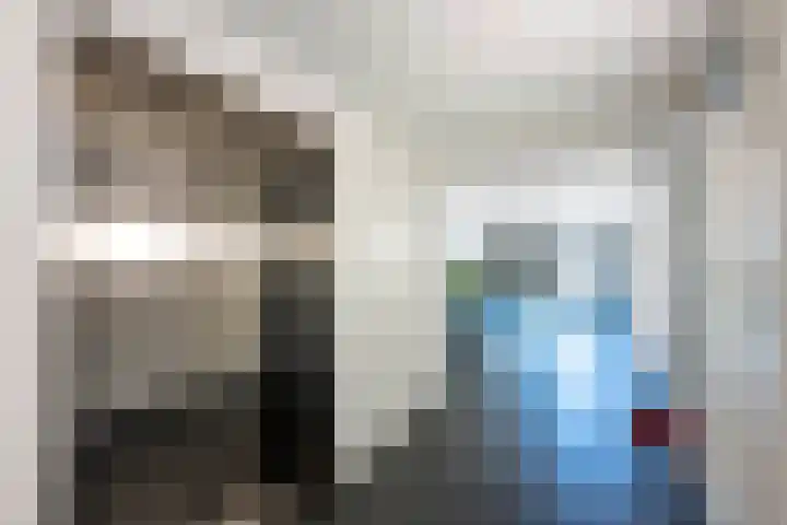Dopheidelaan 102 Hilversum thumbnail 4