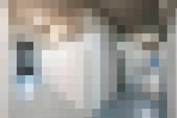 Dopheidelaan 102 Hilversum thumbnail 43